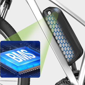 Venta caliente Downtube batería de iones de litio bicicleta eléctrica batería 36V <span class=keywords><strong>48V</strong></span> 10Ah 13Ah 14Ah Hailong 1 Ebike batería para bicicleta - Product Image 6