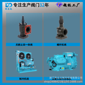 วาล์วปิด-เปิดเหล็กหล่อ Liyongda DN25 สำหรับชุดคอมเพรสเซอร์ ใช้กับสารทำความเย็น R507A ในอุตสาหกรรม - Product Image 3