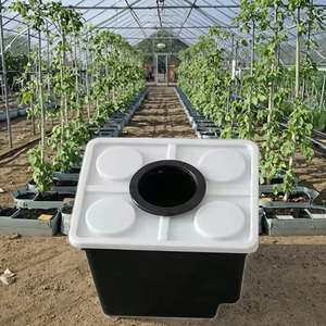 Grande Design del capanno in plastica con sistema idroponico olandese - Product Image 4