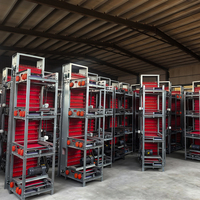Système d'élevage à bon prix, cages pour poules pondeuses, équipement complet pour ferme avicole, prix des cages pour poules pondeuses