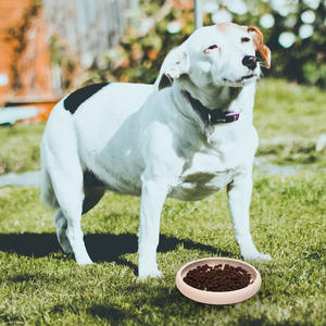 Nuevo y Popular: Tapetes para Lamer para Perros y Gatos, Comedero Lento Antiasfixia y Antivuelco para Mascotas - Product Image 2