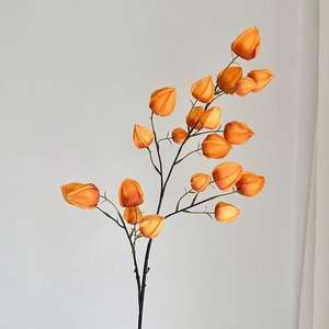 Lanterne artificielle de haute qualité Fruit Physalis pour la décoration de la maison, des mariages et des fêtes - Product Image 6