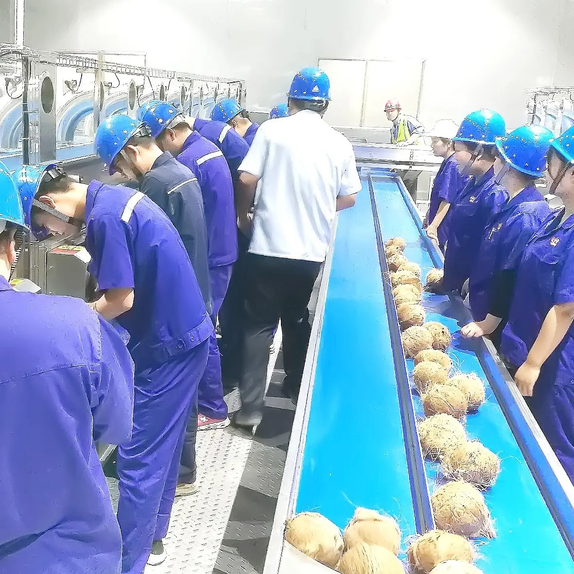 Coconut water processing machine/ almond milk production line /fruit juice processing