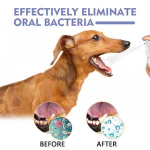 Spray Bucal para Mascotas de Marca Privada, Elimina las Manchas Dentales, Mantiene el Aliento Fresco, para Perros y Gatos - Product Image 5