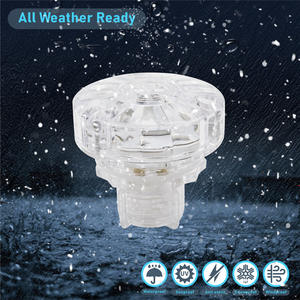 Luces <span class=keywords><strong>LED</strong></span> Aglare IP65 24V SMD3535 para Carrusel, Luces Decorativas para Ferias y Atracciones - Product Image 4