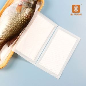 Tampons absorbants haute capacité 160x100mm pour viande, fruits de mer, poisson, volaille, emballage écologique, produit respectueux de l'environnement - Product Image 1