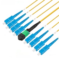Kabel Breakout MPO 24 LC 1m 12 Core MPO ke SC, Kabel Patch Fiber Multimode OM4 100g, Panel Patch Fiber Optik MPO untuk Pusat Data