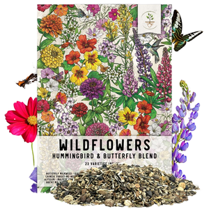 Kolibri Schmetterling Garten Wild flower Mixture Kit Mehrjährige Blumen Design Home Floor ing Planting Verpackt 15.000 in Töpfen - Product Image 2