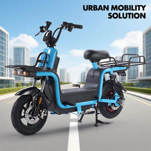 Vélos <span class=keywords><strong>électrique</strong></span>s à emporter 48V 500W 1000W City Takeaway <span class=keywords><strong>Express</strong></span> Delivery Vélos <span class=keywords><strong>électrique</strong></span>s de livraison longue distance <span class=keywords><strong>Vélo</strong></span> <span class=keywords><strong>électrique</strong></span> cargo - Product Image 3