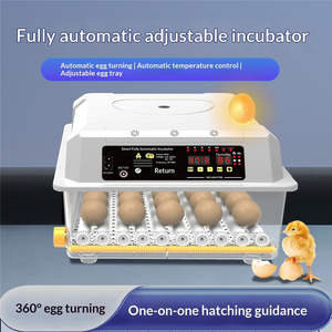 Máquina Automática de Cría de Aves de Corral con Ahorro de Energía, Incubadora de <span class=keywords><strong>Huevos</strong></span> de Alta Precisión con una Tasa de Incubación del 98% para Incubar de 6 a 230 <span class=keywords><strong>Huevos</strong></span> de <span class=keywords><strong>Gallina</strong></span> - Product Image 1