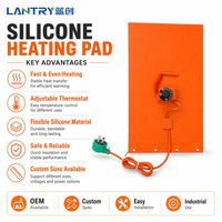 Chauffe-eau industriel en caoutchouc silicone Lanchuang, haute température, automatique, écologique, options 12V/24V/110V/220V, garantie 1 an