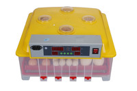 Incubateur d'œufs automatique numérique WQ-56 AC 220V DC 12V, capacité de 56 œufs, prix bas