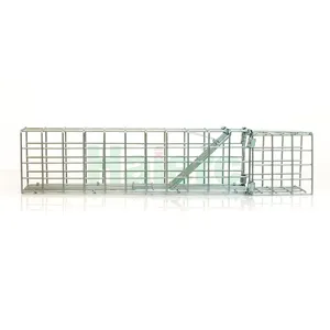 Haierc factory new type animal trap one way door cage mouse squirrels trap cage