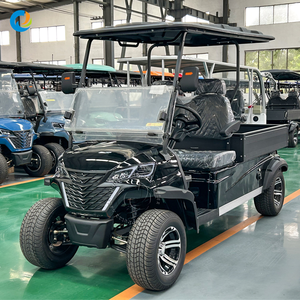 Robetaa 2026 Véhicule de golf électrique de luxe 2 places homologué route avec batterie lithium 72V 105Ah certifiée CE et benne de chargement – Offre Spéciale - Product Image 4