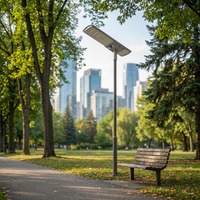 Lampadaire Solaire Intégré Tout-en-un avec Capteur PIR et Radar, Étanchéité IP65, Multi-usages pour Routes, Fermes, Parcs, Villages et Parking