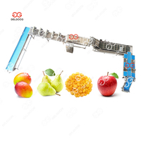 Ligne de lavage et de nettoyage des fruits et légumes (pomme/poire/mangue/baies) avec moteur PLC, usage commercial, acier inoxydable 304