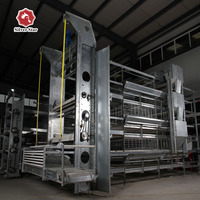 Batterie de volaille couche cage de poulet poules pondeuses hangar équipement d'élevage en acier pour l'élevage de poulets de chair poussins système de cage