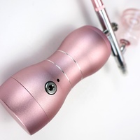 Usine directe rose anthropologie aérographe Machine aérographes aérographe Kit professionnel gâteau Nail Art pistolet