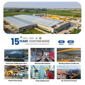 Grúa Puente Monoviga Personalizable de 1 a 10 Toneladas para Taller Químico - Product Image 6