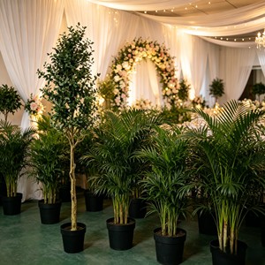 DIY Assembly Plastic <b>Artificial</b> <b>Tree</b> | Durable Eco-Friendly Potted Olive <b>Branches</b> for Indoor/Outdoor Use | Wholesale - Product Image 5