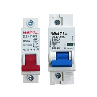 Electric Motorcycles Moto Car Battery Circuit Breaker 1P Mcb Circuit Breaker on OFF B Curve 12v 48v 32a 40a 63a 100a 125a