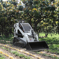 Prix usine CE EPA Mini-chargeuse sur pneus agricole pour vergers avec moteur diesel Briggs & Stratton et godet de 0,12 m³