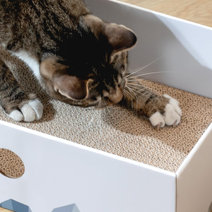 Rascador para Gatos Conlun con Almohadilla de Cartón Resistente de Doble Cara, Tumbona de Cartón, Diseño con Orificios Interactivos - Product Image 3
