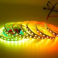 Fournisseur de premier plan Bande lumineuse LED en cuivre RGB à pixels 5050 pleine couleur 12V 72 LED WS2811 étanche IP20 pour paysage Télécommande