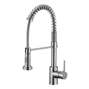 Tidjune Torneira Flexivel Dourada, rubinetti primavera cucina rubinetto acqua moderno contemporaneo singolo leva rubinetto Pull Down oro