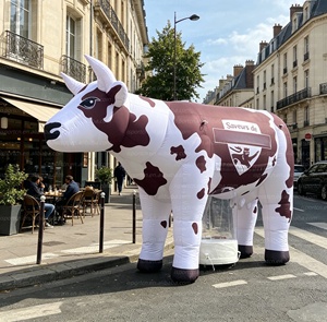 Vaca Lechera Inflable Gigante de 11 Pies con Logotipo Personalizado, Modelo de Vaca <span class=keywords><strong>Holstein</strong></span> Grande con Luz LED para Publicidad en Tiendas de Productos Lácteos/Granjas - Product Image 5