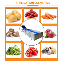 Leadworld Commerciële Knoflookreinigingsschiller Bubbels Gember Wasmachine Fruit En Groente Schoon Machine
