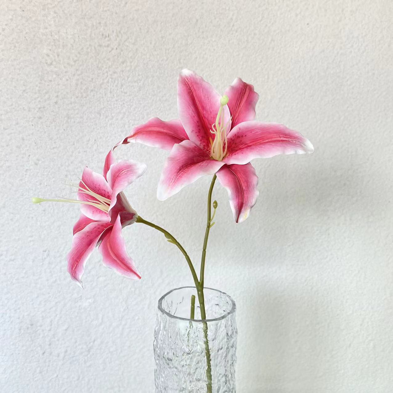 Deep pink double-headed large lily