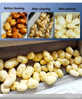 Geüpgradede fruit- en groentereinigings- en schilmachine voor aardappel, gember, lotuswortel, papaya en zoete aardappel.