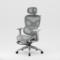 Nouveau design Dossier tissu Mesh Office Meeting Visitor Ergonomique Task Desk Chair avec repose-pieds