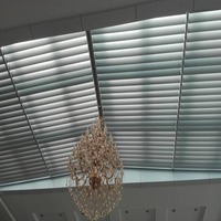 Parasol décoratif extérieur pour mur-rideau de villa résidentielle avec ventilation