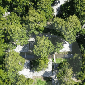 Film de paillis agricole-Contrôle de haute qualité La régulation de la température du sol maintient la zone racinaire optimale pour la croissance des plantes. - Product Image 1