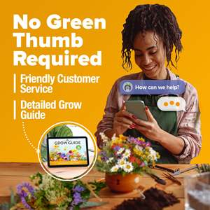 Mélange de fleurs sauvages vivaces cultivées à la maison de prix d'usine 2oz pour la plantation jardin extérieur - Product Image 6