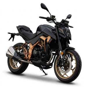 NEWBOT <span class=keywords><strong>Moto</strong></span> <span class=keywords><strong>de</strong></span> <span class=keywords><strong>course</strong></span> puissante 300cc pour adultes, 18,5 kW, haute performance, 125 km/h, FE-300 Factory - Product Image 1