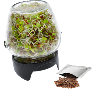 Tarro Mason de boca ancha de 86mm, vidrio transparente de grado alimenticio con tapa de germinación para tarro de filtro de germinación de semillas para uso en <span class=keywords><strong>crema</strong></span> - Product Image 1