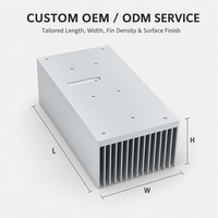 Radiateur en aluminium extrudé sur mesure, alliage 6063, module de refroidissement à ailettes pour alimentation électrique et électronique industrielle
