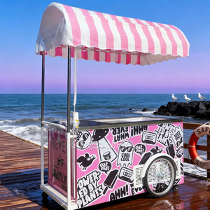 Chariot de glaces et sorbets entièrement équipé, moderne et tendance - Product Image 1