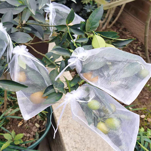 Sacs de protection en filet anti-insectes agricoles en gros pour raisins, fraises et mangues - Product Image 3
