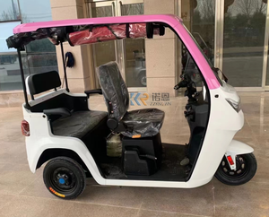 Tricycle électrique convertible à trois roues Scooter Tricycle électrique de cabine de voiture de mobilité avec toit - Product Image 6