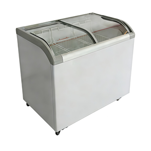 Congélateur à glaces avec porte coulissante à refroidissement direct de couleur blanche pour magasin de proximité - Product Image 1