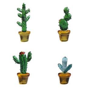 Plantes succulentes, <span class=keywords><strong>cactus</strong></span> et plantes en pot en verre - Product Image 1