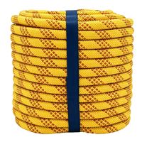 Cordon de remorquage statique professionnel en polyester 18mm 20mm 22mm, corde utilitaire tressée haute ténacité, équipement de rigging industriel robuste
