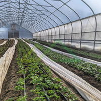 Kits de serres pour construire une serre de jardin à structure métallique pour la protection hivernale, ensemble complet de petite serre tunnel pour tomates