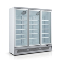 -22 ℃   Congélateur Commercial à Grande Capacité à Refroidissement par Air pour Viandes, Aliments Surgelés, Produits Frais, Durian et Glace à Congélation Rapide