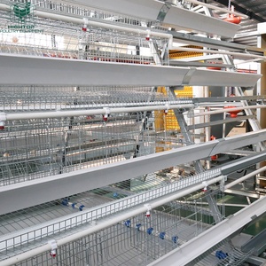 Jaula para Pollos de Alta Densidad Tipo A con Sistema Automático de Recolección de Huevos para 15000 Aves - Product Image 4