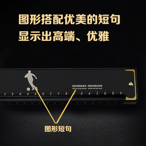 ฮาร์โมนิก้า Feifan 24 รู คีย์ C สำหรับผู้เริ่มต้นและนักเรียน เครื่องดนตรี - Product Image 3